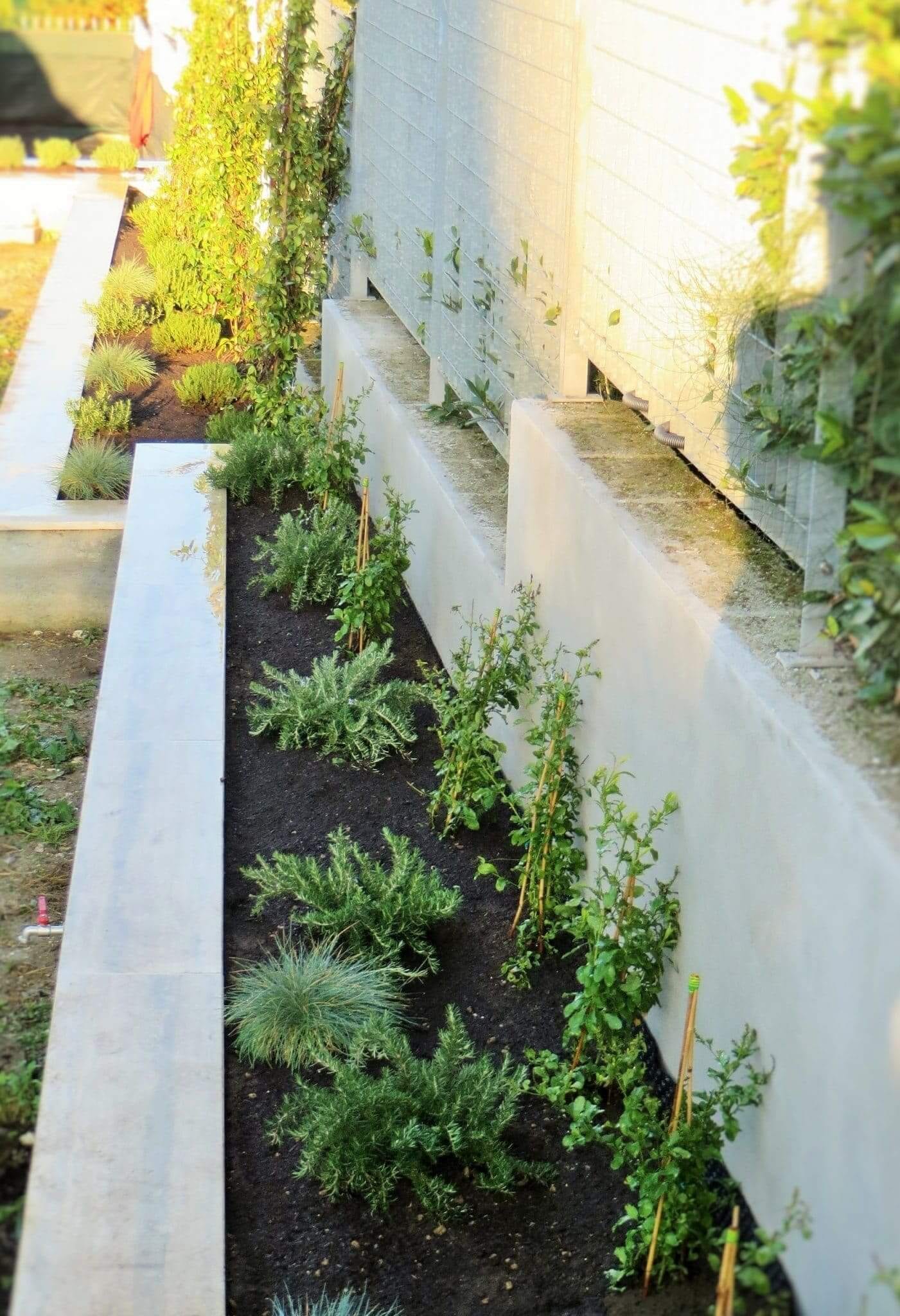 giardini