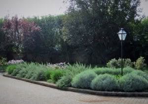 giardino